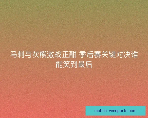 马刺与灰熊激战正酣 季后赛关键对决谁能笑到最后