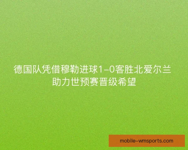 德国队凭借穆勒进球1-0客胜北爱尔兰 助力世预赛晋级希望