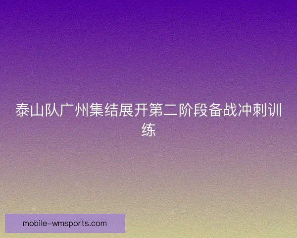泰山队广州集结展开第二阶段备战冲刺训练