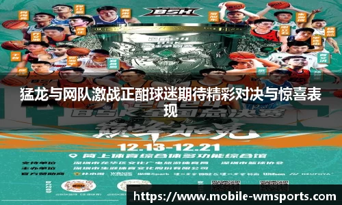 猛龙与网队激战正酣球迷期待精彩对决与惊喜表现
